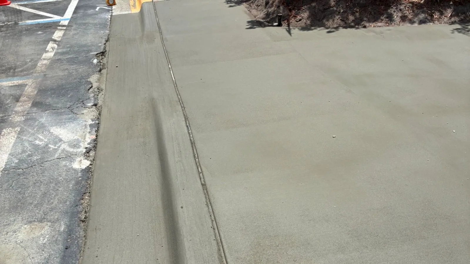 Repair It or Replace It? How We Decide on a Cracked Driveway